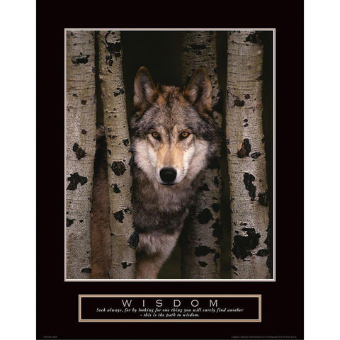 Wisdom - Grey Wolf Black Modern Wood Framed Art Print with Double Matting by Frontline