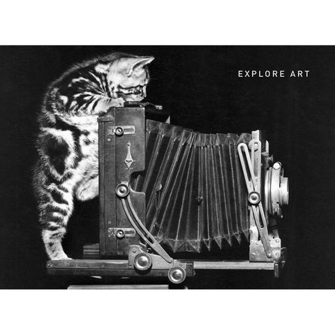 Cat and Camera Gold Ornate Wood Framed Art Print with Double Matting by Frontline