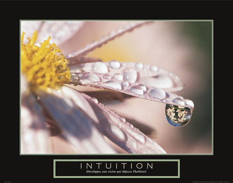 Intuition - Dewdrop White Modern Wood Framed Art Print with Double Matting by Frontline