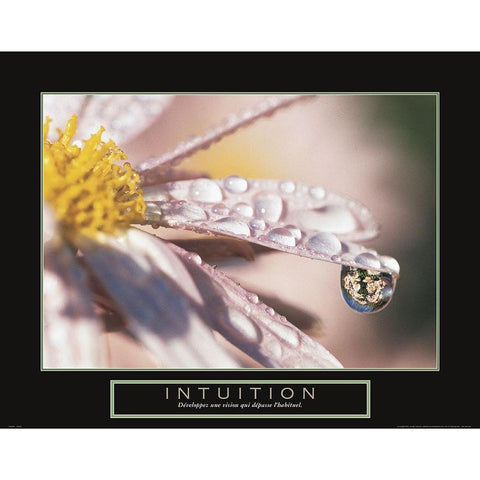 Intuition - Dewdrop Black Modern Wood Framed Art Print with Double Matting by Frontline