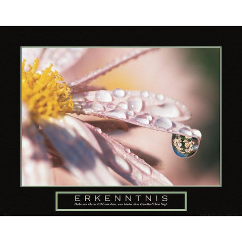 Erkenntnis Gold Ornate Wood Framed Art Print with Double Matting by Frontline