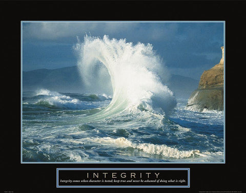 Integrity - Wave Black Ornate Wood Framed Art Print with Double Matting by Frontline