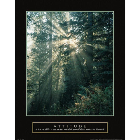 Attitude - Forest Gold Ornate Wood Framed Art Print with Double Matting by Frontline