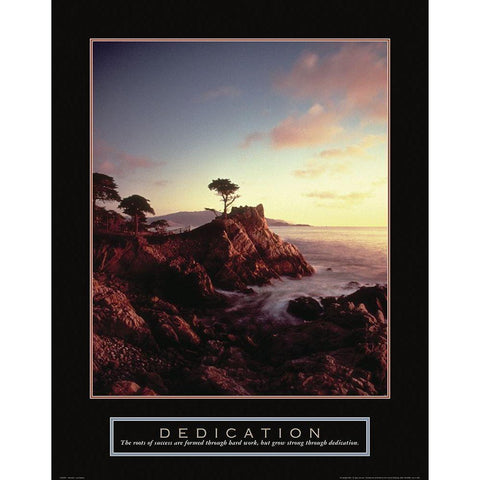 Dedication - Cypress Tree White Modern Wood Framed Art Print by Frontline