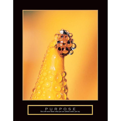 Purpose - Lady Bug Black Modern Wood Framed Art Print with Double Matting by Frontline