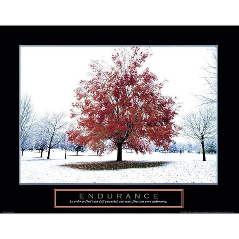 Endurance - Snowy Tree Black Modern Wood Framed Art Print with Double Matting by Frontline