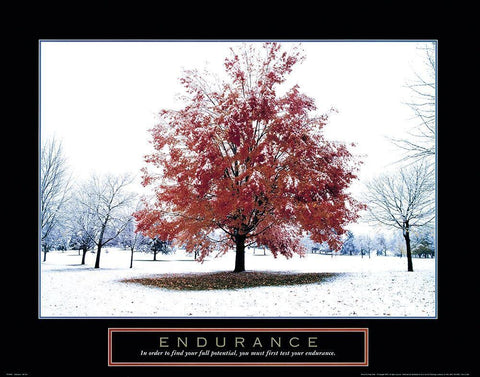 Endurance - Snowy Tree White Modern Wood Framed Art Print with Double Matting by Frontline