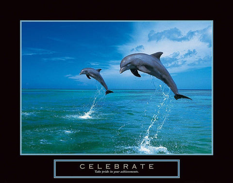 Celebrate - Dolphins White Modern Wood Framed Art Print with Double Matting by Unknown