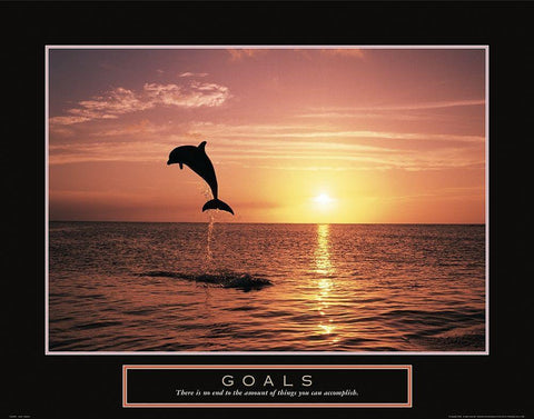 Goals - Dolphin Black Ornate Wood Framed Art Print with Double Matting by Frontline