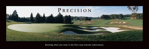 Precision - Golf Black Ornate Wood Framed Art Print with Double Matting by Frontline