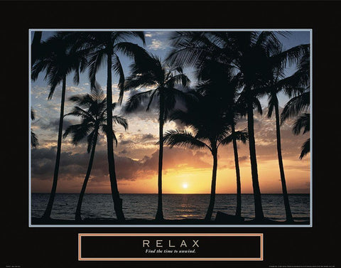 Relax - Palm Trees White Modern Wood Framed Art Print with Double Matting by Frontline