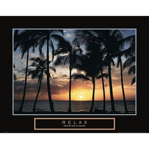 Relax - Palm Trees Black Modern Wood Framed Art Print with Double Matting by Frontline