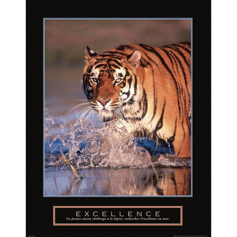 Excellence - Tiger White Modern Wood Framed Art Print by Frontline