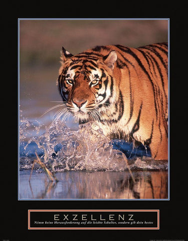 Exzellenz - Tiger White Modern Wood Framed Art Print with Double Matting by Frontline