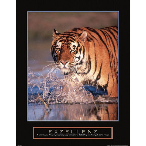 Exzellenz - Tiger Gold Ornate Wood Framed Art Print with Double Matting by Frontline