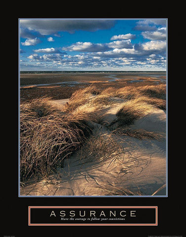 Assurance - Beach Grass Black Ornate Wood Framed Art Print with Double Matting by Frontline