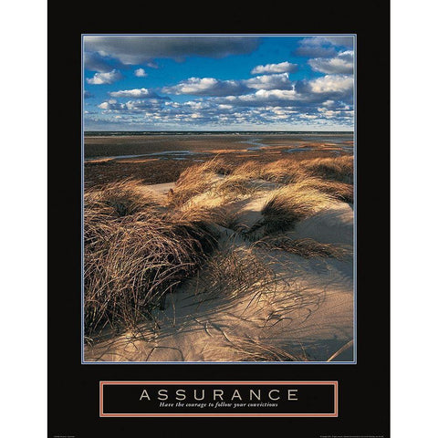 Assurance - Beach Grass Gold Ornate Wood Framed Art Print with Double Matting by Frontline