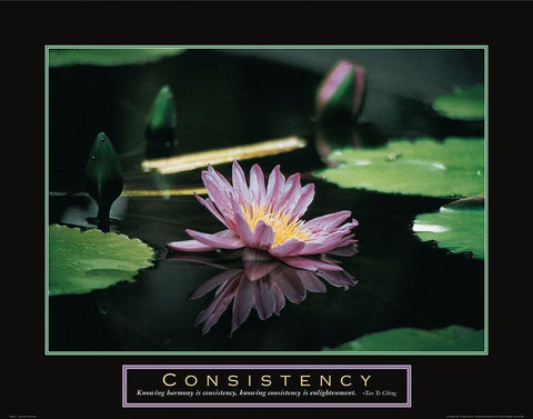 Consistency - Pond Flower Black Ornate Wood Framed Art Print with Double Matting by Frontline