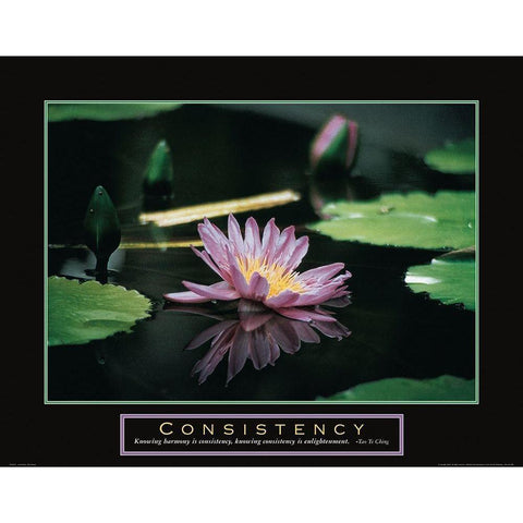 Consistency - Pond Flower White Modern Wood Framed Art Print by Frontline