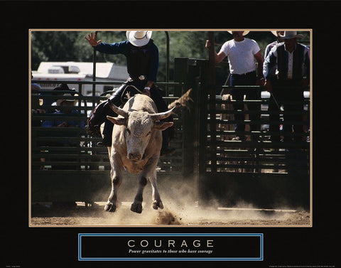 Courage - Bull Rider Black Ornate Wood Framed Art Print with Double Matting by Frontline