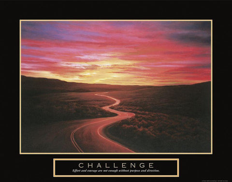 Challenge - Winding Road Black Ornate Wood Framed Art Print with Double Matting by Frontline