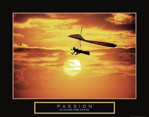 Passion - Hang Glider Black Ornate Wood Framed Art Print with Double Matting by Frontline