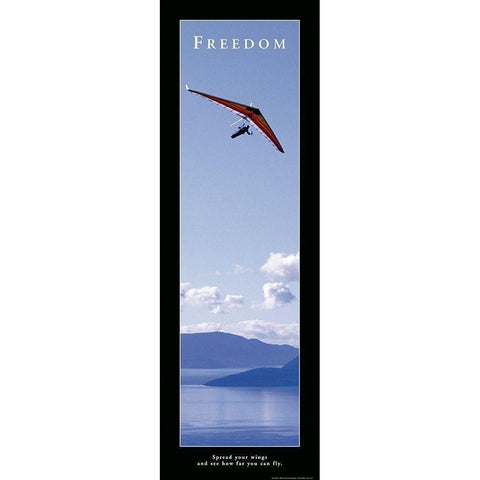 Freedom - Hang Glider Gold Ornate Wood Framed Art Print with Double Matting by Frontline