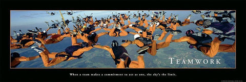 Teamwork - Skydivers Black Ornate Wood Framed Art Print with Double Matting by Frontline