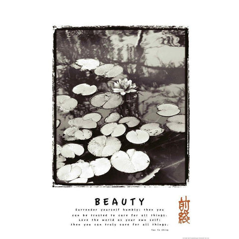 Beauty - Lillypad Black Modern Wood Framed Art Print with Double Matting by Frontline