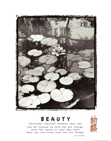 Beauty - Lillypad White Modern Wood Framed Art Print with Double Matting by Frontline