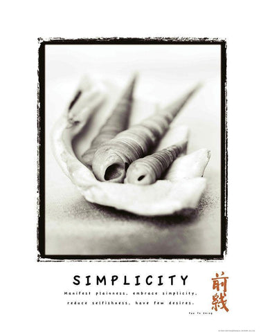 Simplicity - Shells White Modern Wood Framed Art Print with Double Matting by Frontline