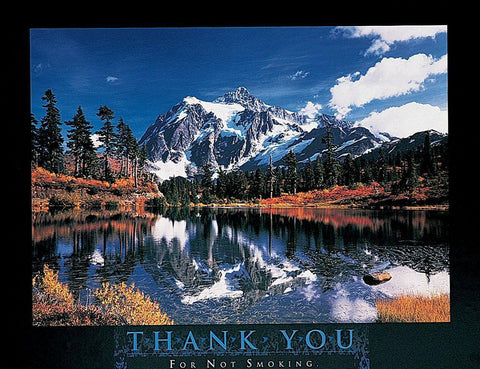 No Smoking Black Ornate Wood Framed Art Print with Double Matting by Unknown