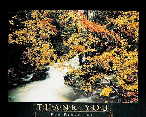 Recycle - Forest Black Ornate Wood Framed Art Print with Double Matting by Unknown