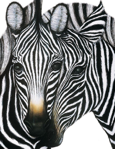 Zebra I White Modern Wood Framed Art Print with Double Matting by Unknown