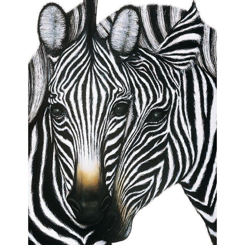 Zebra I White Modern Wood Framed Art Print by Unknown