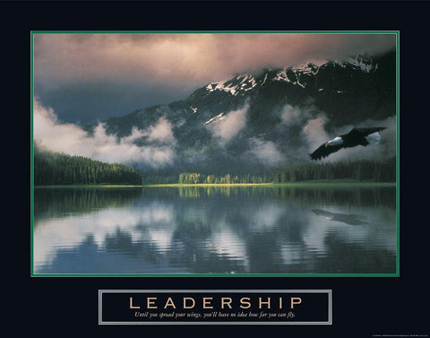 Leadership - Eagle White Modern Wood Framed Art Print with Double Matting by Frontline