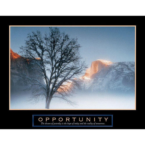 Tree - Opportunity Black Modern Wood Framed Art Print with Double Matting by Unknown