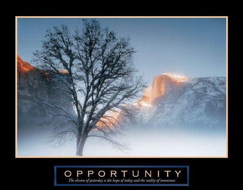 Tree - Opportunity Black Ornate Wood Framed Art Print with Double Matting by Unknown