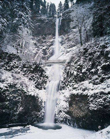 Frozen Bridge on Waterfall Black Ornate Wood Framed Art Print with Double Matting by Unknown