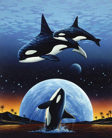 Orcas and Moon White Modern Wood Framed Art Print with Double Matting by Unknown