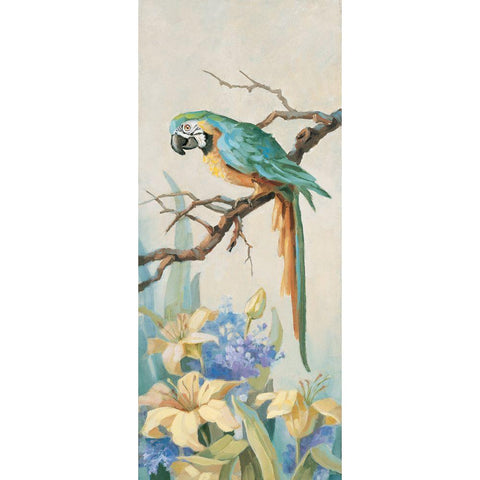 Parrot Looking Down Black Modern Wood Framed Art Print with Double Matting by Unknown