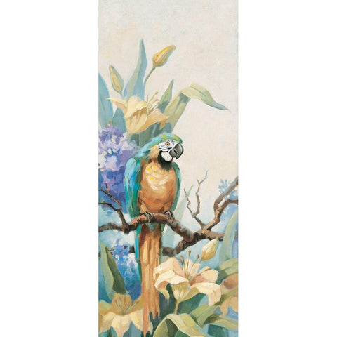 Parrot Sitting Black Modern Wood Framed Art Print by Unknown