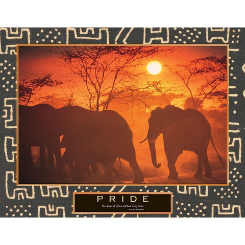 Pride - Elephant and Sun White Modern Wood Framed Art Print by Unknown