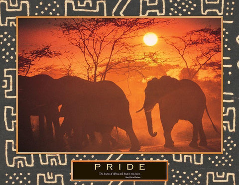 Pride - Elephant and Sun Black Ornate Wood Framed Art Print with Double Matting by Unknown