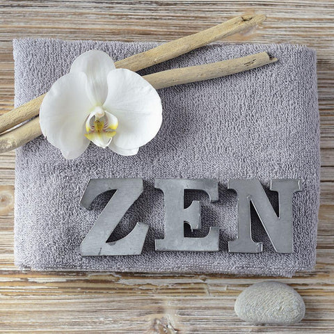 Zen orchid White Modern Wood Framed Art Print with Double Matting by Chatelain, Sonia