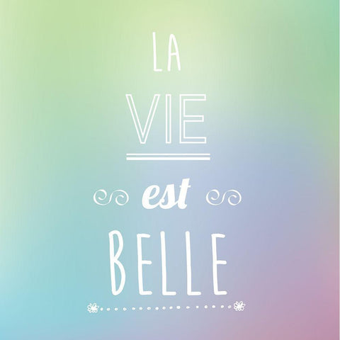 La vie est belle Gold Ornate Wood Framed Art Print with Double Matting by Braun Studio
