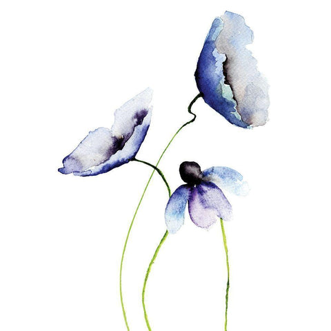 Aquarelle 5 White Modern Wood Framed Art Print with Double Matting by Braun Studio