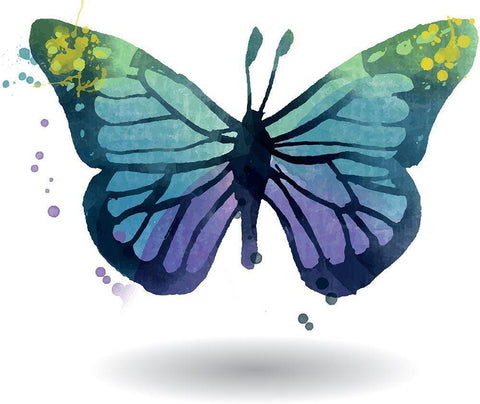 Aquarelle 6 Black Ornate Wood Framed Art Print with Double Matting by Braun Studio