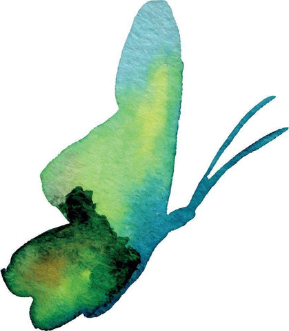 Aquarelle 7 Black Ornate Wood Framed Art Print with Double Matting by Braun Studio