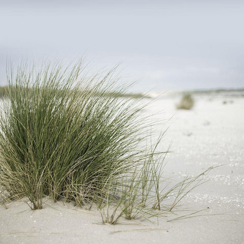 Plage 6 White Modern Wood Framed Art Print by Braun Studio